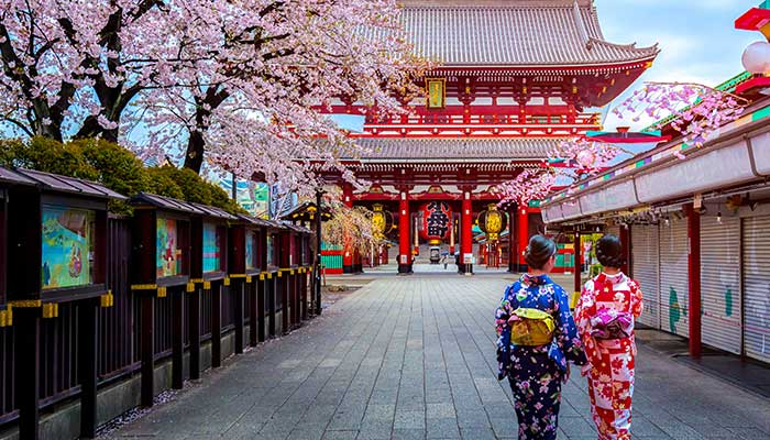 Why You Should Visit Japan At Least Once in Life
