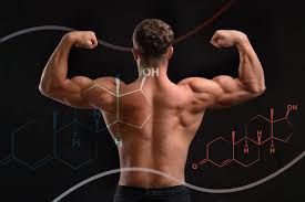 Order Testosterone Online: Safe, Convenient, and Professional Hormone Therapy