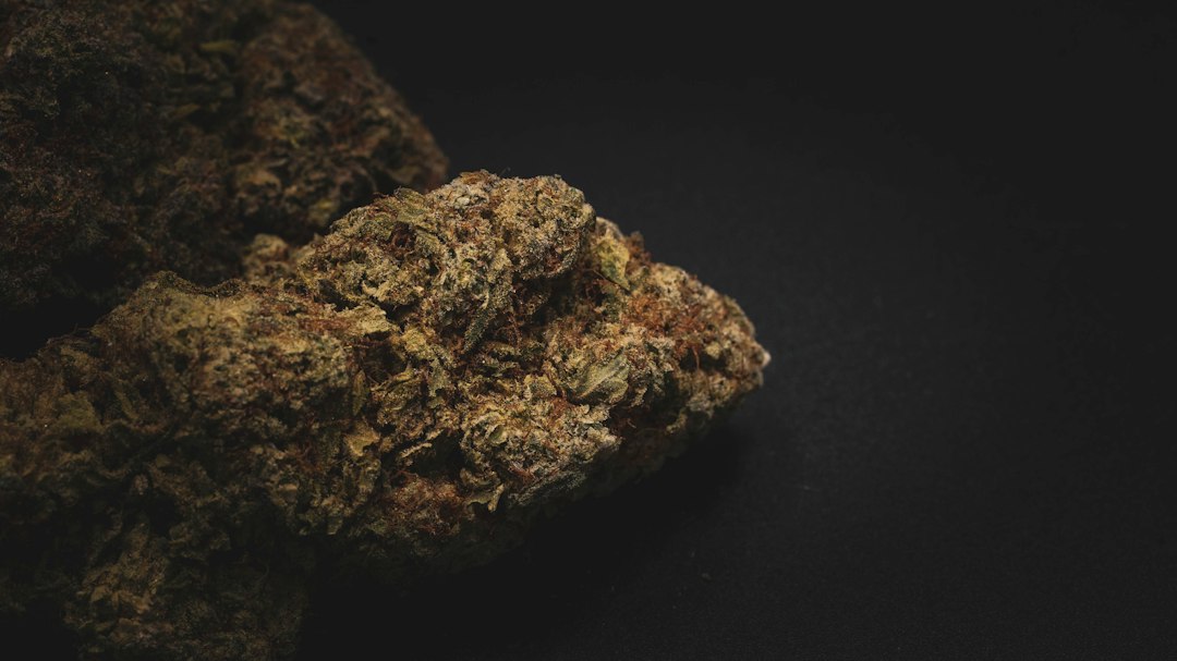 Responsible Hash Awareness: Health, Safety, and Essential Cannabis Facts